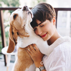 Pet Đi Xe - Vận Chuyển Thú Cưng 16 gallery 4 1024x1024 1