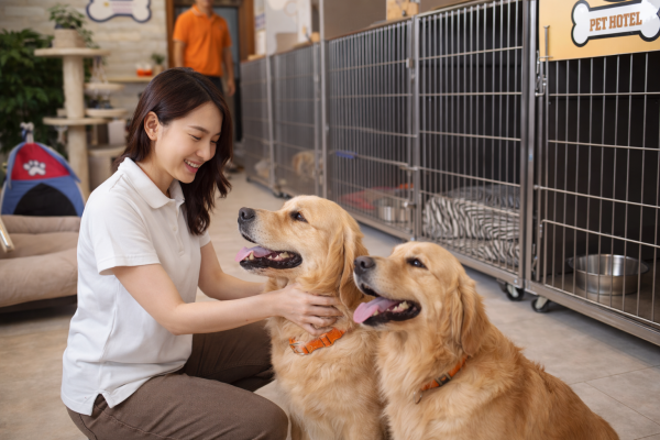 Pet Đi Xe - Vận Chuyển Thú Cưng 11 Khách sạn và lưu trú thú cưng hiện đại