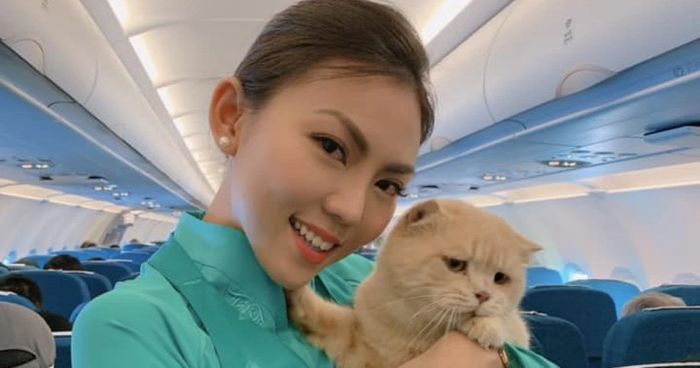 Dịch vụ gửi thú cưng đi nước ngoài 1 Dịch vụ gửi thú cưng đi nước ngoài