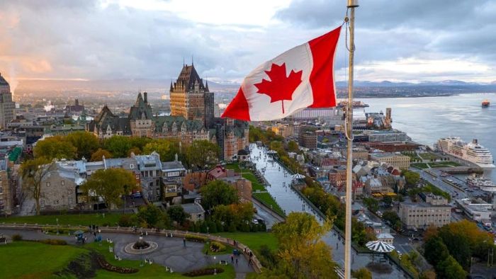 Dịch vụ vận chuyển thú cưng đi Canada 1 Dịch vụ vận chuyển thú cưng đi Canada