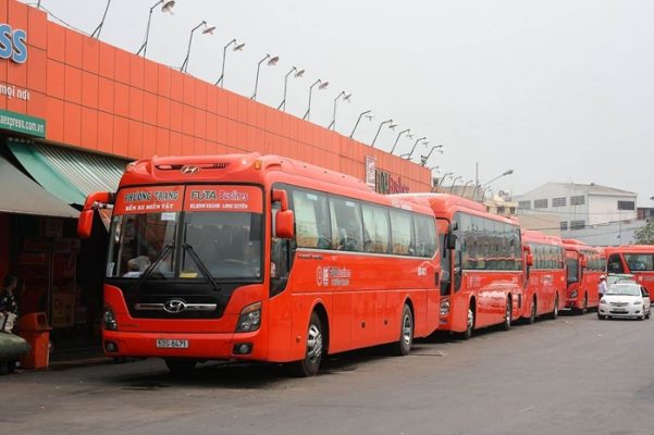 Nhà xe Phương Trang có vận chuyển thú cưng không